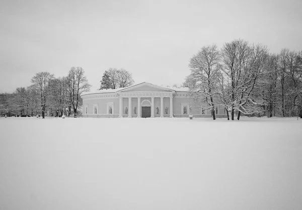 Дворец в снежной сказке — стоковое фото